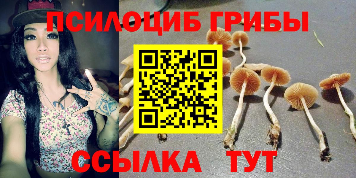 Псилоцибиновые грибы мицелий Борзя