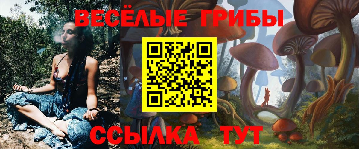 Псилоцибиновые грибы Psilocybe  Вход с VPN  Борзя  Псилоцибиновые грибы ЛСД 