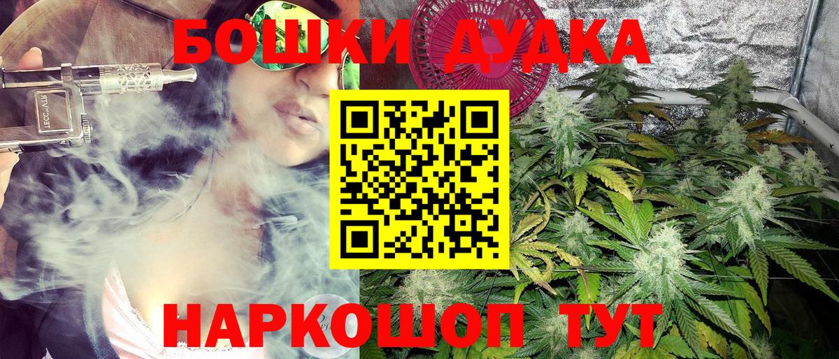 Бошки Шишки сатива  Вход с VPN  Борзя  Конопля THC 21% 